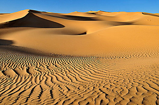 小,沙丘,靠近,阿德拉尔,阿尔及利亚,撒哈拉沙漠,北非
