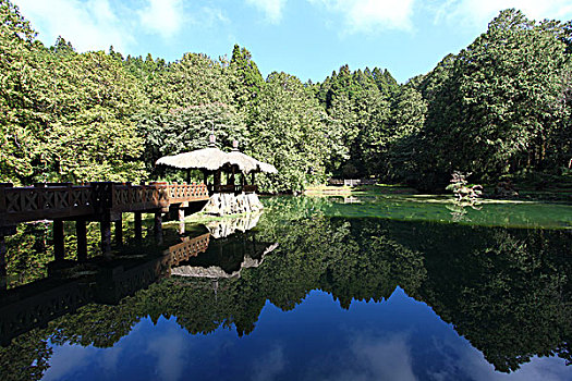 台湾阿里山