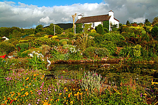 凯瑞郡,爱尔兰,花园,风景