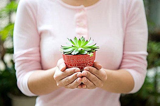 美女,拿着,植物,容器