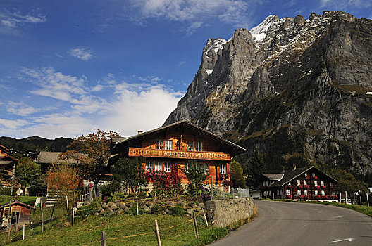 道路,山村,格林德威尔,伯尔尼阿尔卑斯山,瑞士