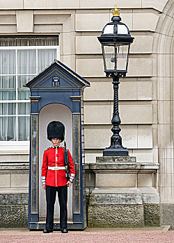 女王卫兵,户外,白金汉宫,伦敦,英格兰,英国,欧洲