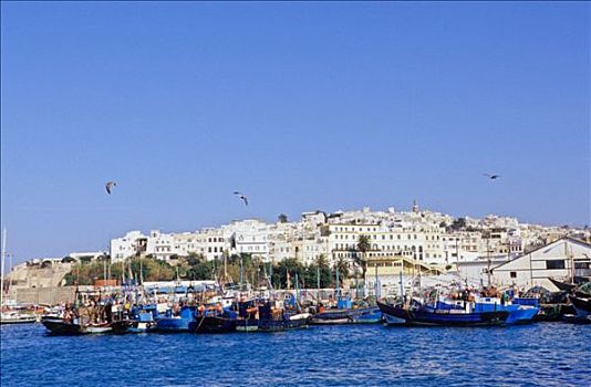 摩洛哥,苏维拉,渔船,港口,蓝天