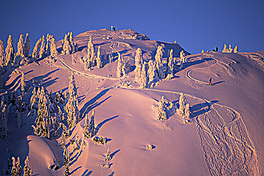 滑雪板玩家,黄昏,攀升,省立公园,北温哥华,不列颠哥伦比亚省,加拿大