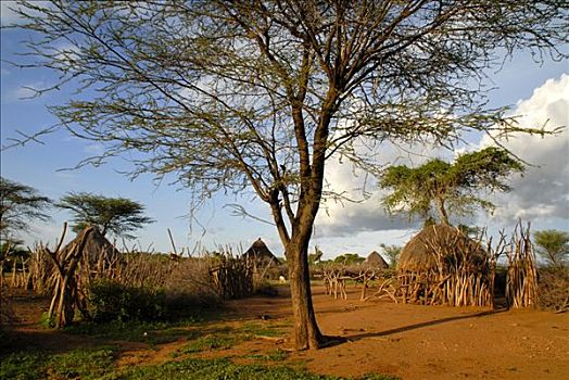 土著,乡村,大草原,靠近,埃塞俄比亚