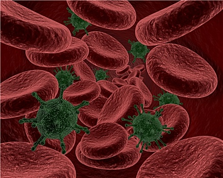 血细胞,细菌