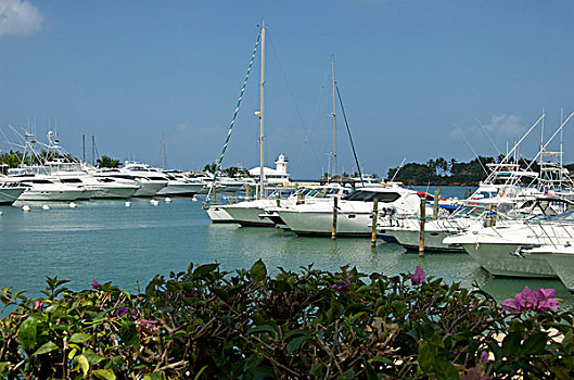 多米尼加共和国,草原,码头,游艇俱乐部