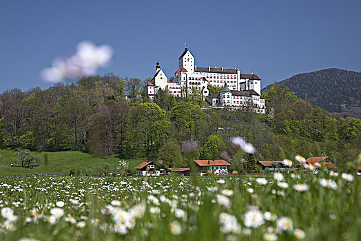城堡,齐姆高,巴伐利亚,德国南部,德国