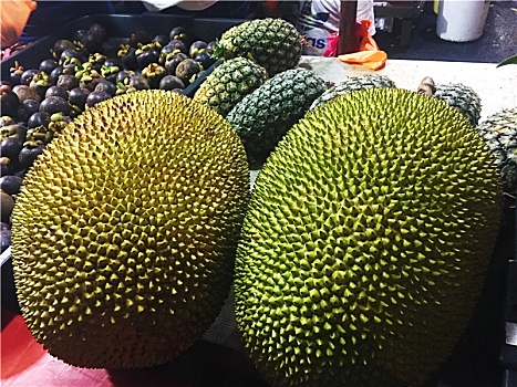 马来西亚圆菠萝蜜特写