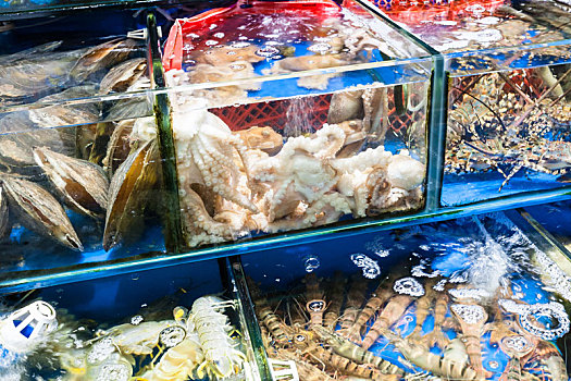 章鱼,海螯虾,鱼市,广州