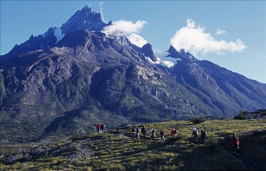 跋涉,聚会,走,南方,大,托雷德裴恩国家公园,巴塔哥尼亚,智利