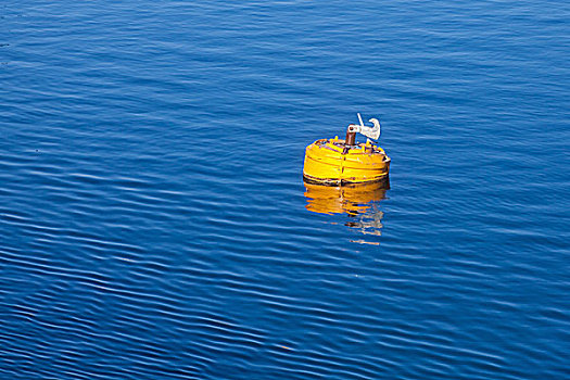 黄色,停泊,浮漂,钩,漂浮,蓝色背景,海水