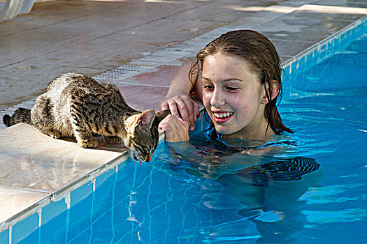 女孩,孩子,家猫,喝,游泳池,土耳其