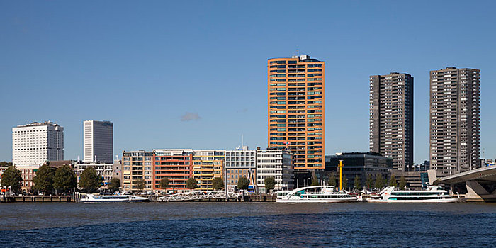 摩天大楼,码头,河,鹿特丹,荷兰