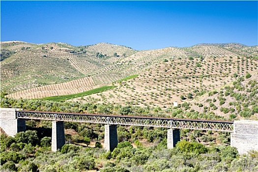 铁路,高架桥,靠近,边界,葡萄牙,卡斯提尔,西班牙
