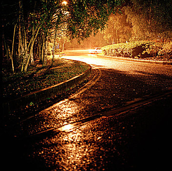 汽车,驾驶,弯路,夜晚