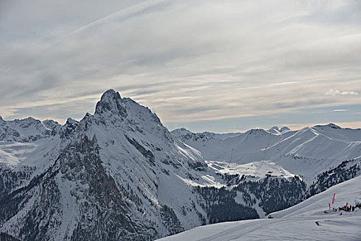 自然,冬季风景,树,初雪