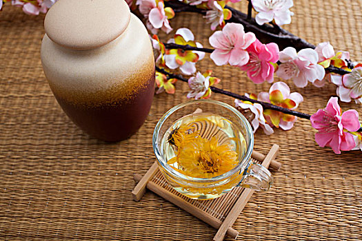 枪战圈app手机版下载