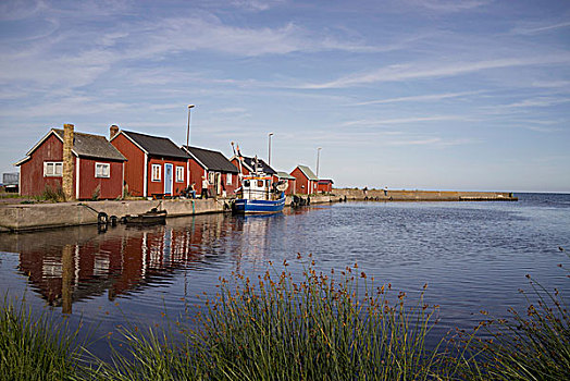 小屋,岛屿,厄兰德,南方,瑞典