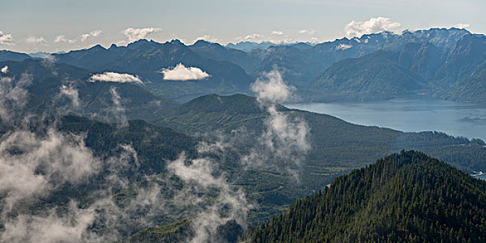 岛屿,太平洋,海洋,地区性,地区,不列颠哥伦比亚省,加拿大