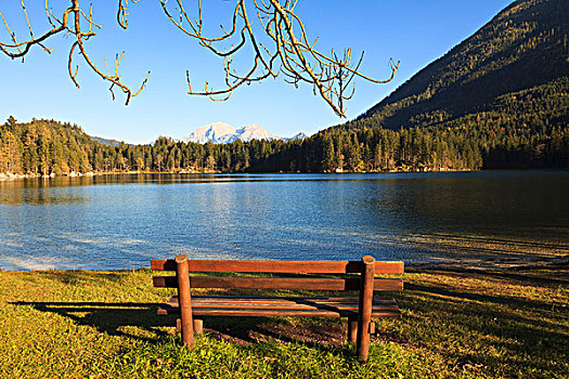 长椅,湖,巴伐利亚,德国