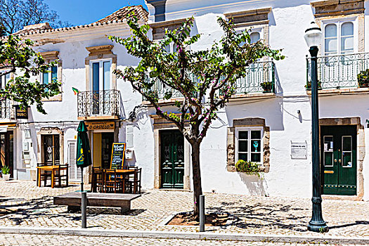 树,正面,刷白,房子,老城,塔维拉,阿尔加维,葡萄牙