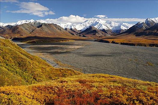 秋天,德纳里峰,国家公园,阿拉斯加,美国