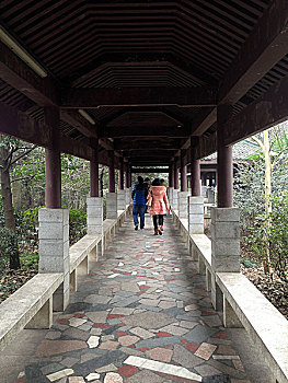 岳麓山风景区