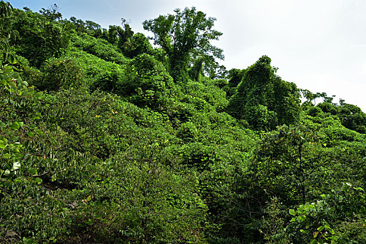 河北省石家庄平山县藤龙山风景区