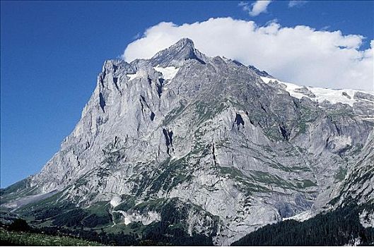 山顶,上面,阿尔卑斯山,瑞士,欧洲