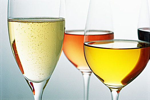 品种,葡萄酒,葡萄酒杯