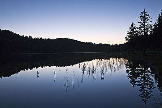傍晚,湖,靠近,米滕瓦尔德,巴伐利亚,德国