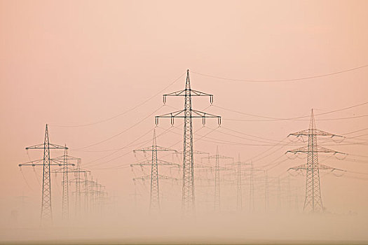 电线,晨雾,黑森州,德国,欧洲