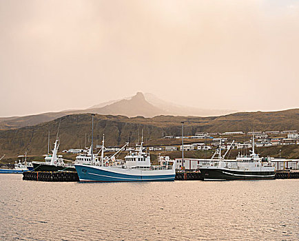 渔船,港口,斯奈山半岛,冰岛