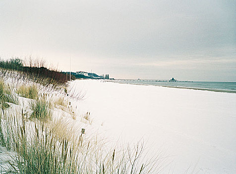 积雪,海滩