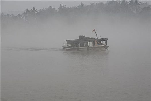 船,晨雾,河,婆罗洲,印度尼西亚