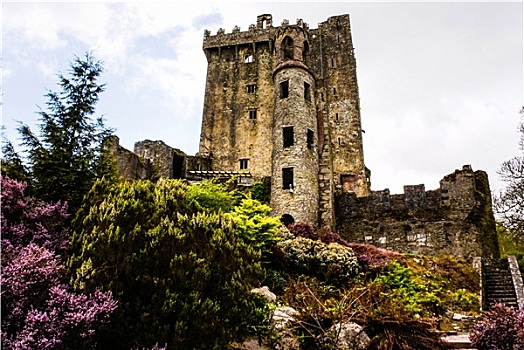 爱尔兰,城堡,布拉尼城堡,著名,石头