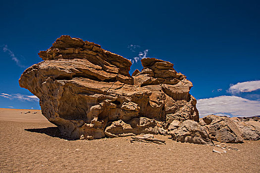 玻利维亚乌尤尼盐湖山区石头树