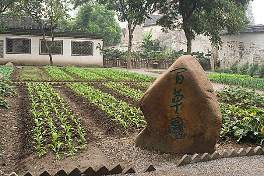 浙江绍兴百草园