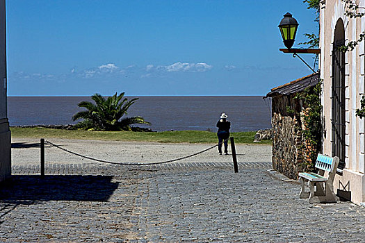 风景,城市,萨克拉门托,乌拉圭,河,拉普拉塔河,南美洲