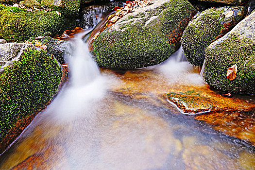 瀑布,红叶,山泉,流水