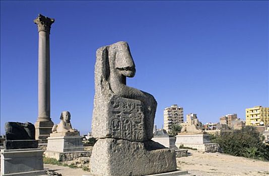 埃及,亚历山大,柱子,狮身人面像,蓝天