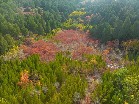 济南龙鼎大道五彩斑斓的山体公园