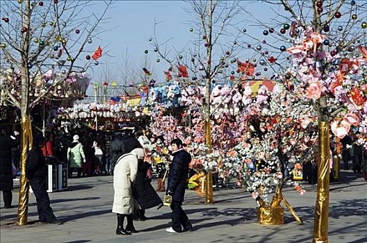 中国,北京,春节,情人节,喜爱,信息,朝阳区,公园