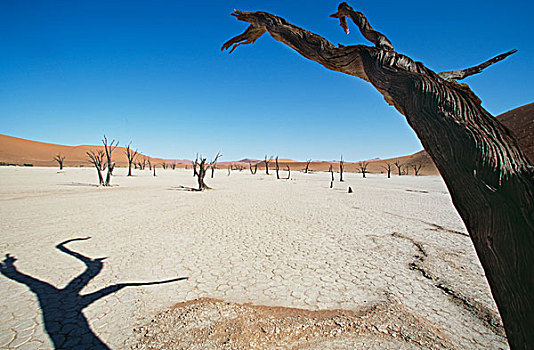 死亡谷,沙漠