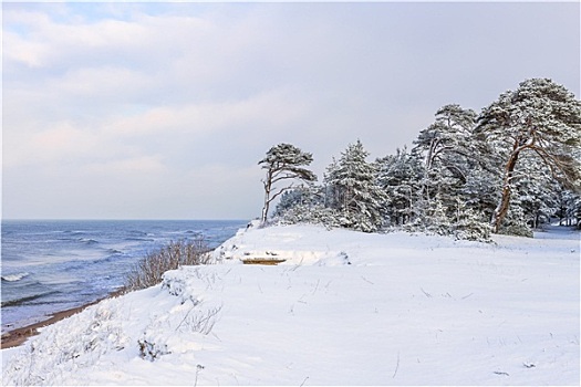 雪,岸边,波罗的海