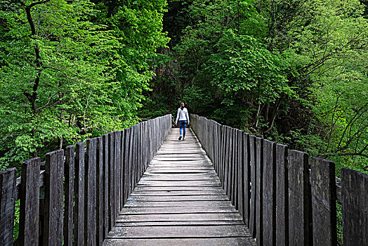 女孩,穿过,木桥,小路,峡谷,山谷,地区,提契诺河,瑞士