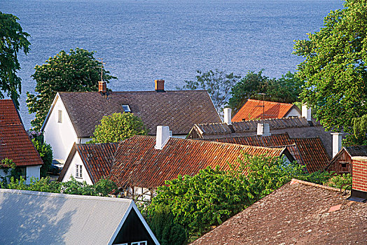 房子,靠近,海洋,俯视图,瑞典