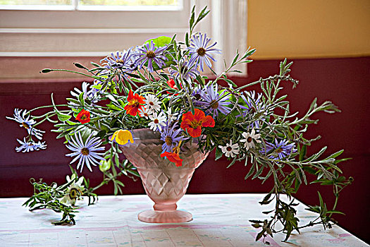 花,花瓶,英式花园