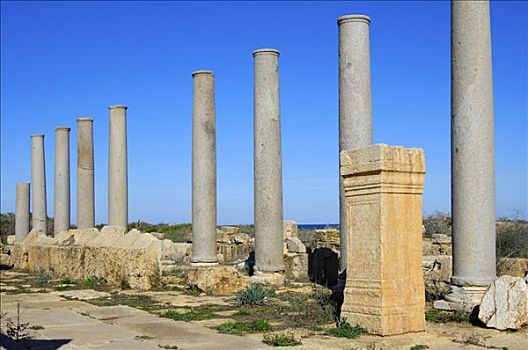 古老,柱廊,科林斯地峡,罗马,遗址,莱普蒂斯马格纳,利比亚